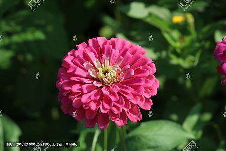 通前彻后