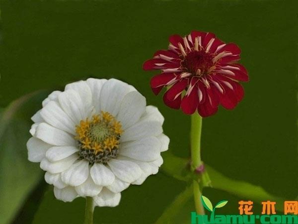 时不我与