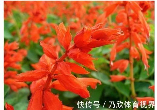 平步青云