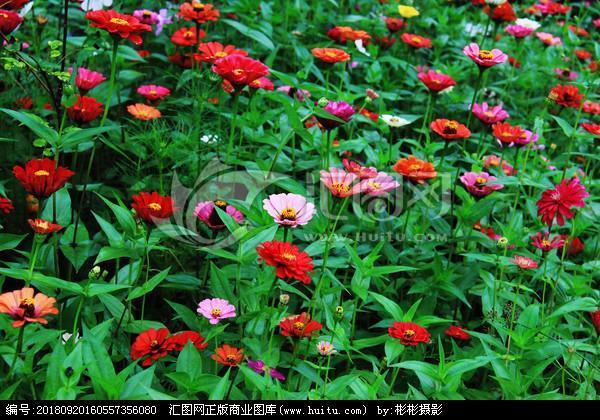 何思何虑