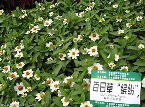 不知所言