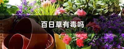 金石交情
