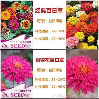 悠闲自在