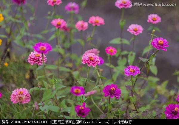 纡佩金紫