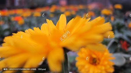 事无不可对人言