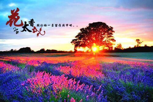 慎终追远