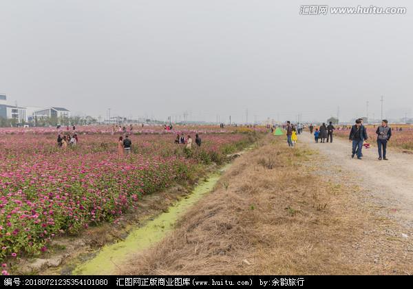 高飞远走