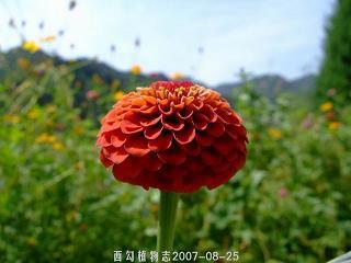 进德脩业