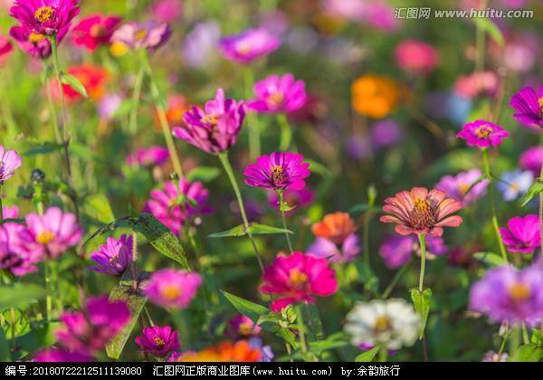 无可救药