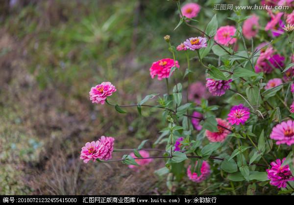 沐浴阳光的唯美句子_阳光唯美句子