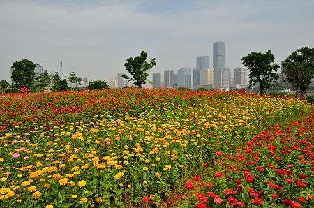 课语讹言