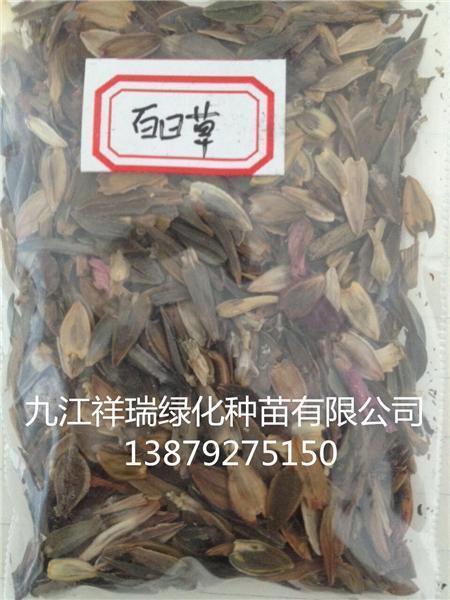百鬼众魅
