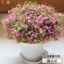 不可或缺