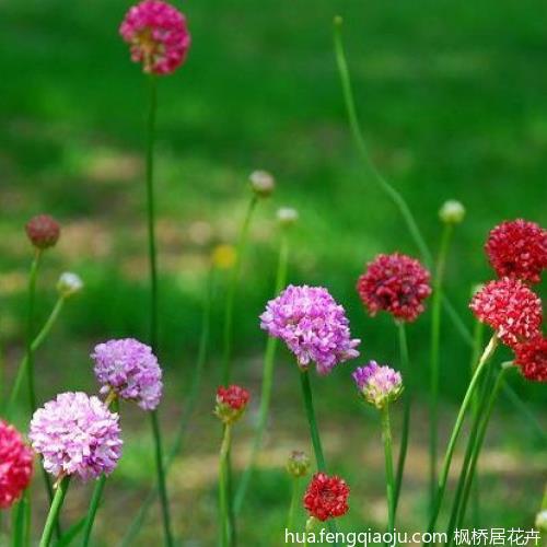 搏砂弄汞