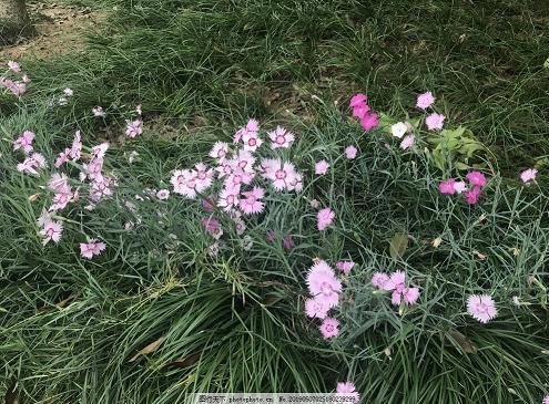 入室操戈