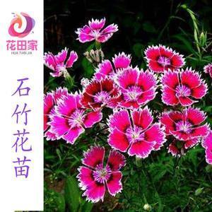 一人高升，众人得济