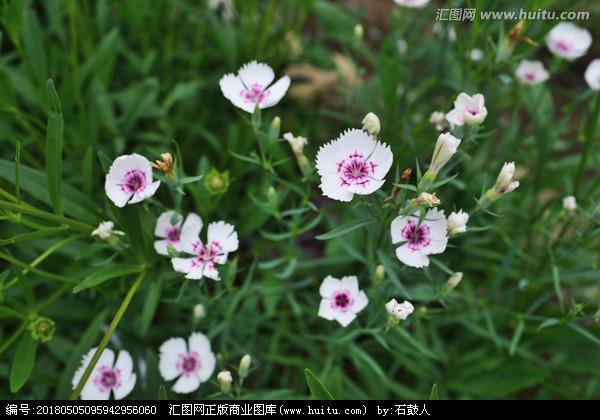 聊以慰藉