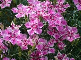 滴里耷拉