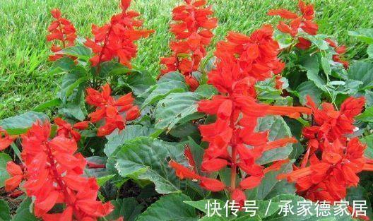 聚精凝神