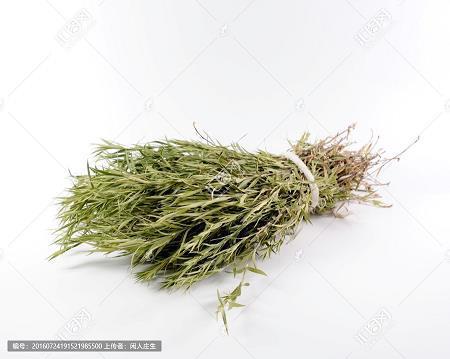 思念短信最温馨的话大全 怎样表达对一个人的思念的短信