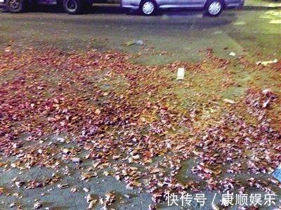 垂死挣扎