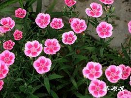 传闻不如亲见