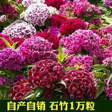阒其无人