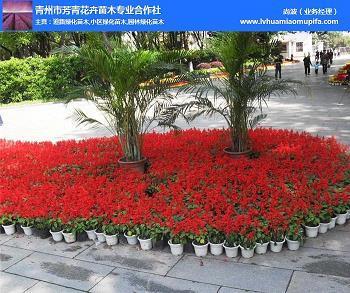 高考励志文章精选