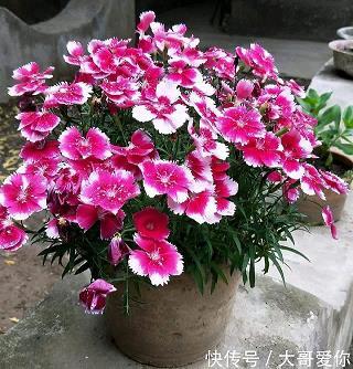 赤子之心