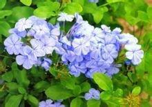 东走西顾