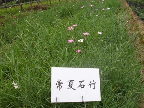 知书达礼