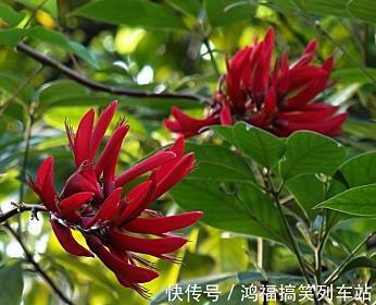 天衣无缝