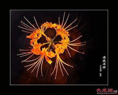 柙虎樊熊
