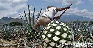 打富济贫