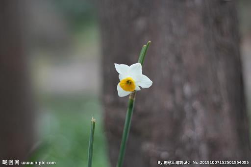卧榻之侧