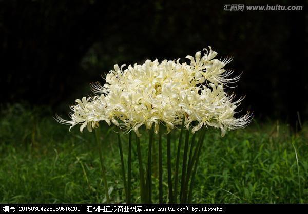 禁乱除暴