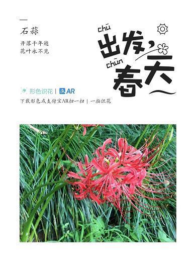与世推移