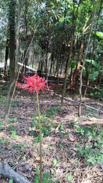 急公好施
