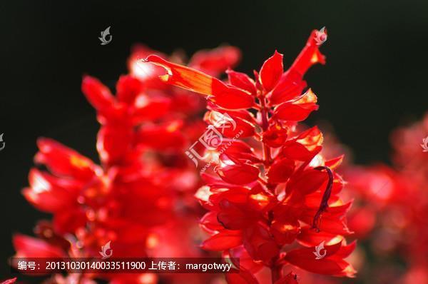 怀敌附远