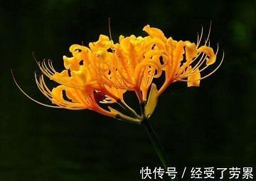 潜移默运