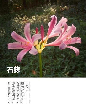 持禄养身
