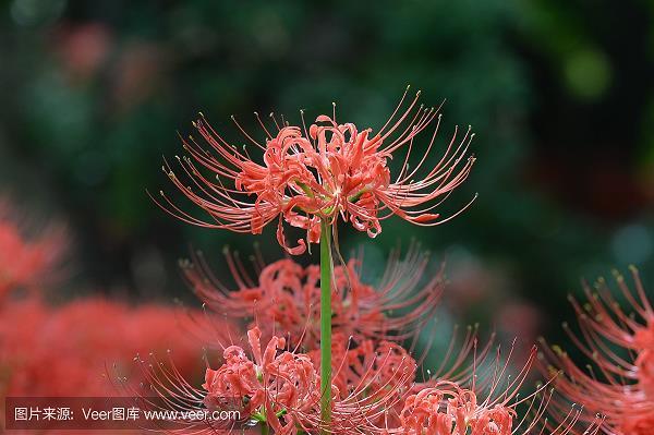 无奈我何
