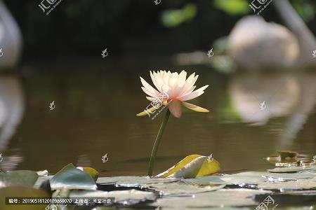 心满意得