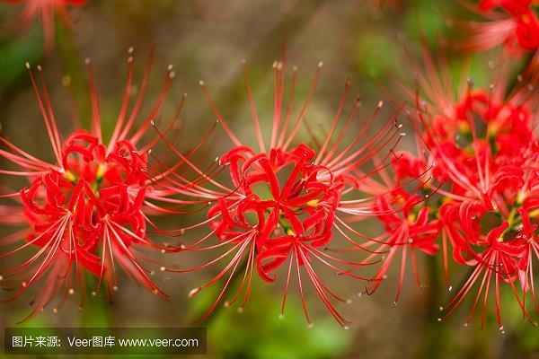 杳无信息