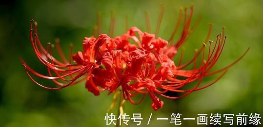 瑟调琴弄