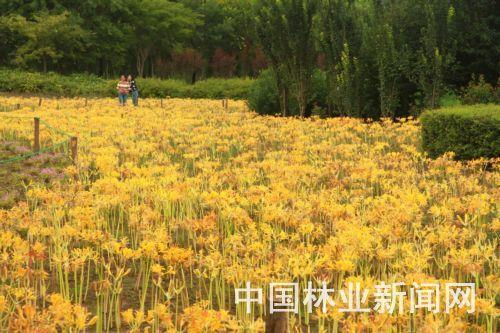 朋比为奸