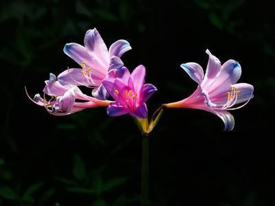 阔论高谈