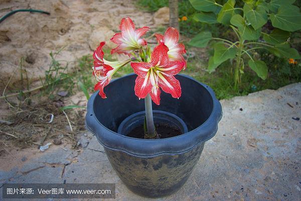 蝇头微利