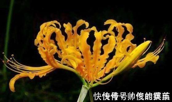 破家竭产