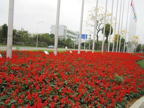 宦囊羞涩